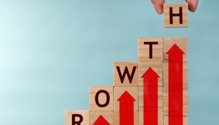 Wooden toy building blocks that spell out the word Growth